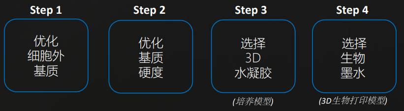 3D组织工程步骤