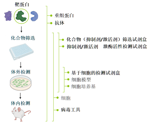 BPS Bioscience-3.png