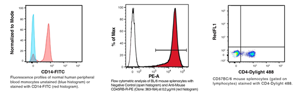 Leinco Technologies-1.png