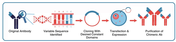 Leinco Technologies-2.png