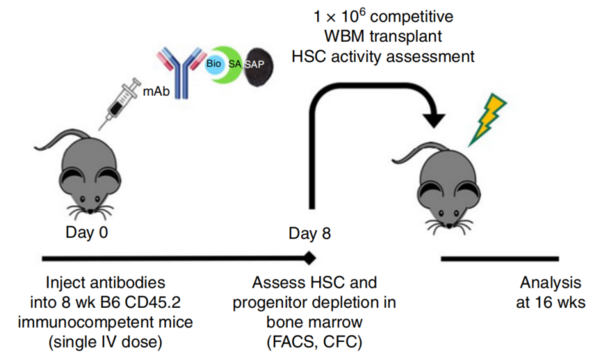 ZAPػڻԼпɻ-׺ؽϷŴϵͳԭ