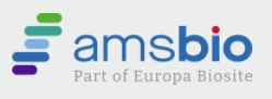 Amsbio.png
