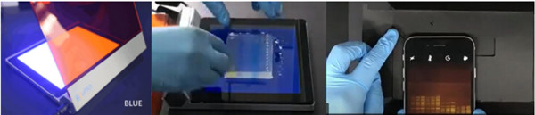 分子克隆:跑胶切胶