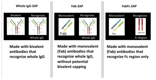 3�಻ͬSaporin����ż���������Ч���Ա�
