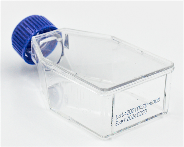 collagen protein.png