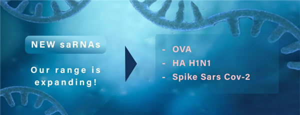 saRNA (Self-amplifiying RNA).png