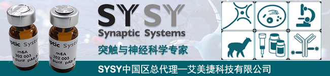SYSY-banner-新闻稿.gif