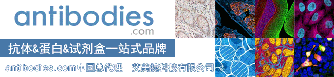 antibodies.com环球ug登录科技